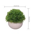 thumbnail image 2 of Bola de césped artificial en maceta, simulación de hierba, decoración de plantas, decoración de la mesa de la oficina en casa, hierba tipo 4, verde tholdsy HA7593-12B, 2 of 6