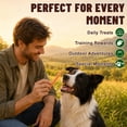 thumbnail image 5 of JoyGnaw Chicken Strips Dog Treats, High Protein Pure Chicken Snacks for All Dogs, 11 oz, 5 of 9