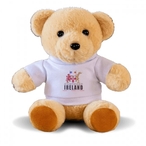Northern Ireland Logo Map Flag Bear Toy Animal Plush Toy Hoodie Doll