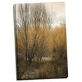 thumbnail image 2 of Gango Home Decor Spring Serenity II by Vitaly Geyman (Ready to Hang); One 24x36in Hand-Stretched Canvas, 2 of 4