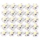 thumbnail image 1 of 25 pcs 5V LED Chips 200LM 1W High Power LED Lamp Beads for DIY Lighting Fixtures Warm White 3000-3200K, 1 of 5