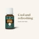 thumbnail image 5 of Pasta de dientes Young Living Thieves AromaBright sin flúor 120 ml, 5 of 9