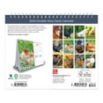 thumbnail image 2 of Chickens | 2026 7.5x6" Monthly Double-View Easel Desk Calendar | BrownTrout, 2 of 9