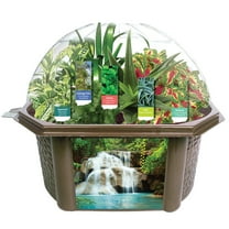 Fern Root Grow Your Own Sensory Eco-Biosphere Terrarium - Kit is Easy to Grow & Educational - Includes 5 Different Seeds - One for Each Sense!
