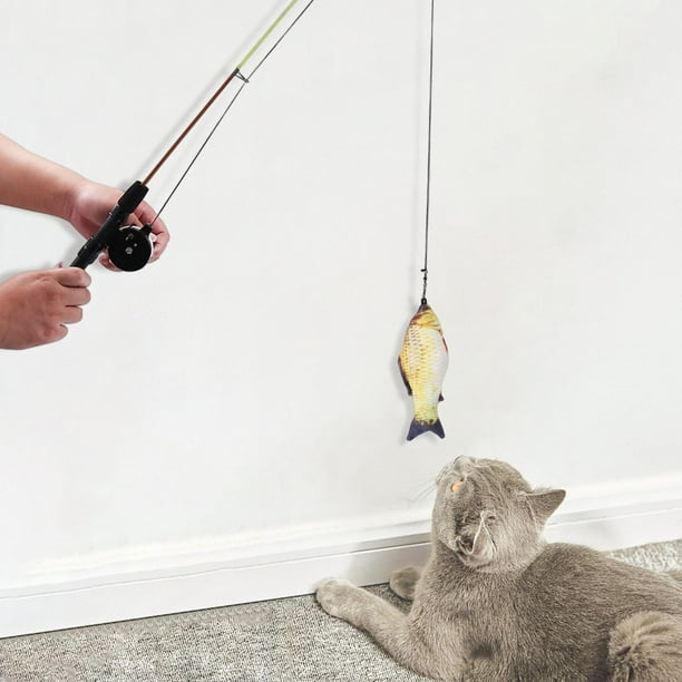 Cat Teaser Toy Kitty Kitten Indoor Interactive Retractable Fishing Pole  Crucian Carp 
