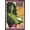 Bronze Framed Version, variant on Marvel Comics - She Hulk Card Wall Poster, 22.375" x 34"