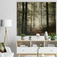 thumbnail image 3 of Design Art - Lumière dans une Forêt Automnale Dense avec Brouillard, 3 of 5