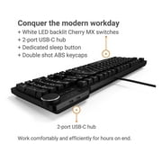 Das Keyboard Backlit Full size USB Type C Standard Keyboard, Black