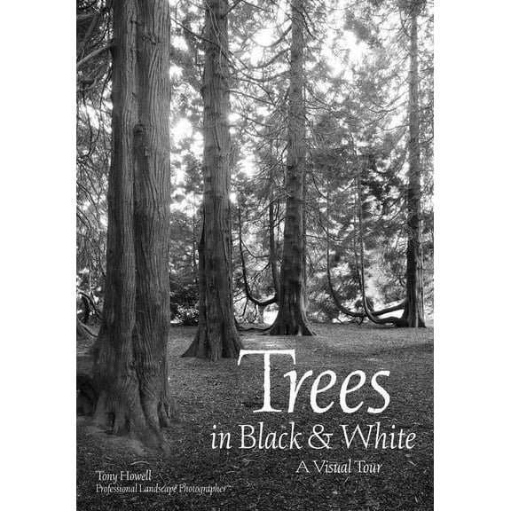 Trees in Black & White: A Visual Tour (Paperback)