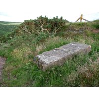 LAMINATED POSTER Concrete block by the rugged coast path Between East Combe and Henners Combe. I don't know what stru Poster Print 24 x 36