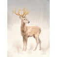 thumbnail image 2 of Nai, Danhui 15x18 Gold Ornate Wood Framed with Double Matting Museum Art Print Titled - Regal Wild II, 2 of 4