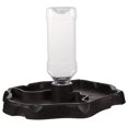 thumbnail image 1 of 1pc Small Pet Feeding Bowl Drinking Foods Feeder Container for Lizard Turtle Reptile (Coffee), 1 of 7
