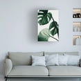 thumbnail image 2 of 1x Studio III 'Monstera Natural 42' Canvas Art, 2 of 4