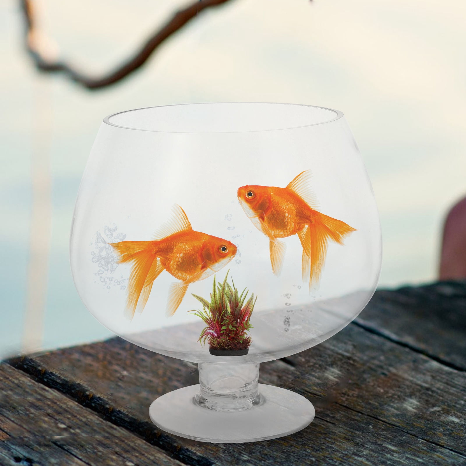 GOOHOCHY Betta Fish Tank Transparent Pet 1Set Desktop Decor
