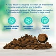 thumbnail image 5 of Lucy Pet Products Formula for Life L.I.D. Dry Dog Food, Chicken, Brown Rice & Pumpkin, 1 Each/4.5 lb, 5 of 5