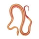 thumbnail image 4 of Modelo de figura de plástico Zulema Serpiente juguete Animal de granja, 4 of 6