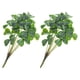thumbnail image 1 of unbranded Artificial Para De Hogar Y Ramos DIY En Verde Natural, 1 of 8