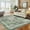 Green, variant on Rugs for Living Room,Washable Area Rug Taupe Retro Chic Medallion Distressed Design Living Room Indoor Non-Slip Non-Shedding Oriental Accent Throw Rug for Kitchen Bedroom Office Carpet