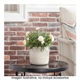 thumbnail image 2 of Maceta De Cerámica Better Homes & Gardens Estilo Acanalado Color Blanco, 2 of 4