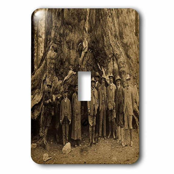 3dRose, Teddy Roosevelt and John Muir Beneath a Redwood Tree Sepia, single toggle switch