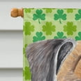 thumbnail image 3 of Carolines Treasures SC9310CHF 40 x 40 In. Boxer St. Patricks Day Shamrock Portrait Flag Canvas- House Size, 3 of 4