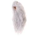 thumbnail image 1 of de Muñeca de Nuevo Estilo Popular Peluca Rizada de Color Blanco Plateado para Muñecas 1/3 Sunnimix BJD Doll Wig, 1 of 7
