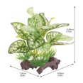 thumbnail image 2 of AURARMLET Planta Simulada Para Acuario Artificial Para Embellecer Peceras Y Escritorio, 2 of 6