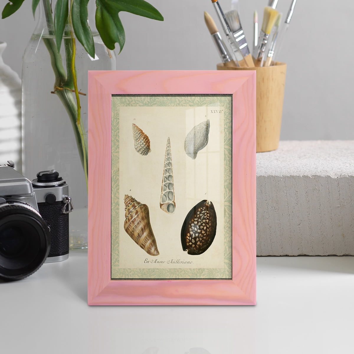 Bookplate Shells IX - Framed Print w/glass - Sunset Pink