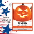 thumbnail image 6 of Jack O Lantern Pumpkin Seeds, 6 of 7