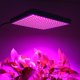 thumbnail image 2 of Luz LED para cultivo de plantas de interior/frutas/verduras de 45 W kaili Sencillez, 2 of 5