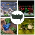 Gymnture Reptile Set Floating Basking & Climbing Platform with Suction