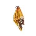 thumbnail image 2 of Máscara Caretas REV Ghoulish Productions EVIL CORN, 2 of 4