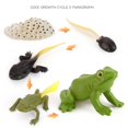 thumbnail image 3 of kusrkot kids children toy Simulation Animal Figures Set Growth Process Playset, 3 of 9