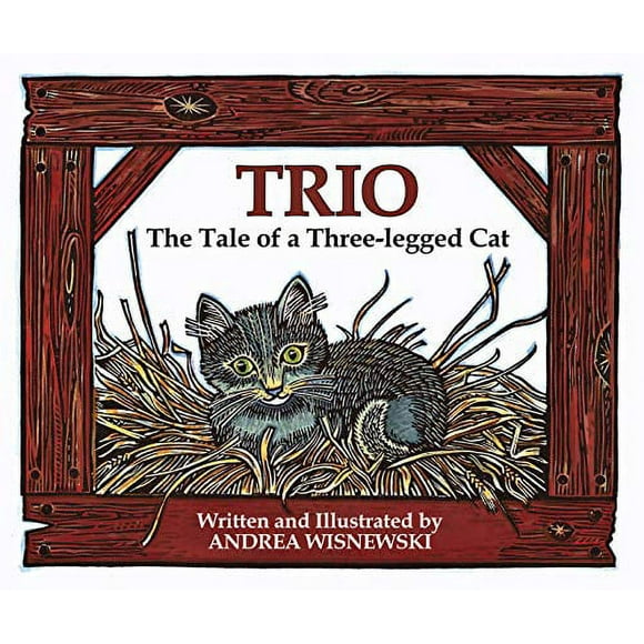 Trio: The Tale of a Three-Legged Cat