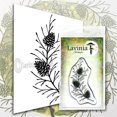 thumbnail image 1 of Lavinia Stamp - Fir Cone Branch, 1 of 2
