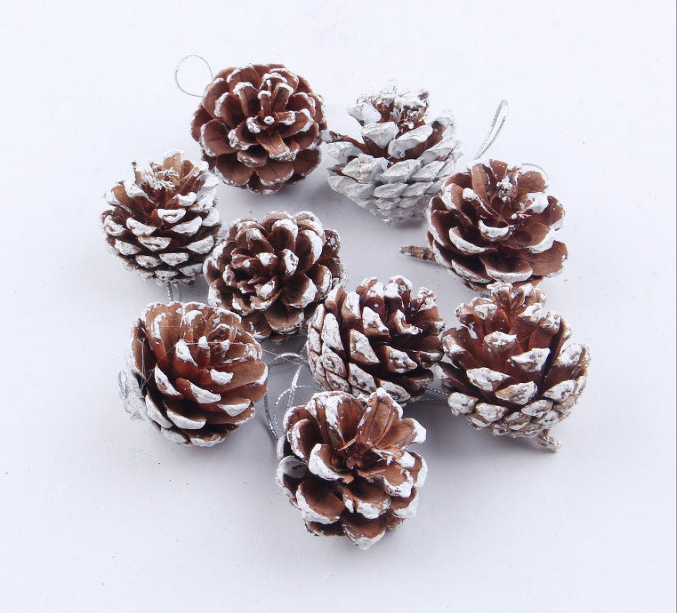 27Pcs Natural Pine Cones Silver Tipped Pine Cone Decor Ornaments for  Christmas Tree