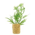 thumbnail image 1 of Mini Potted Plant Miniature Bonsai Mini Bonsai Craft Mini House Plant Ornament, 1 of 7