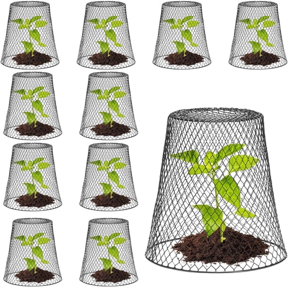 Zhuge 10 plant protectors cover metal garden protection cover dome, used for plant wire protection basket, with garden wooden stake plant cage (black)