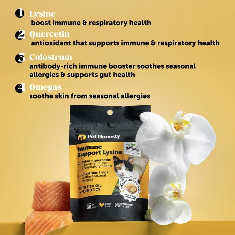 PetHonesty Immune Support Lysine for Cats Chicken Flavor, Dual