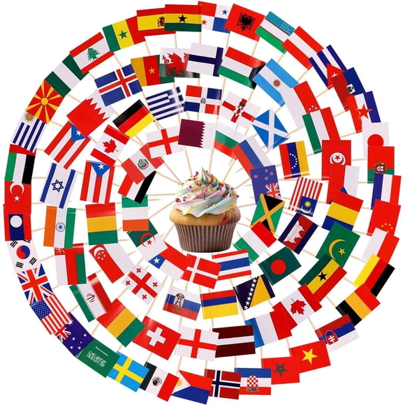 200pcs Mini Countries Toothpick Flags, Mini Flags on Sticks with 100 Different Nations Double Sided World Countries Cupcake Cocktail Toppers for Cupcake Dishes Fruit Platter Decoration