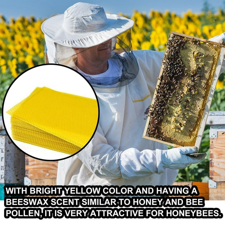 30Pcs Beekeeping Bee Wax Nest Bed Beeswax Sheets Honeycomb Foundation  Sheets