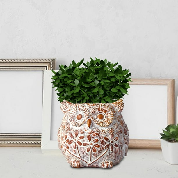 Maceta moderna, macetas de cactus, adorno de escritorio, maceta creativa pintada a mano para decoración de patio de jardín y balcón de Búho DYNWAVEMX Maceta suculenta