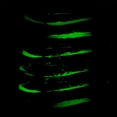 thumbnail image 2 of Señuelo Pesca Luminoso Anzuelos Calamar Cebo Artificial Cebos Jigging () Rosa Y Amarillo, 2 of 4