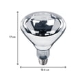 thumbnail image 3 of Lámpara Led Aksi Incandescente  123921  Plata Tipo Br40, 3 of 4