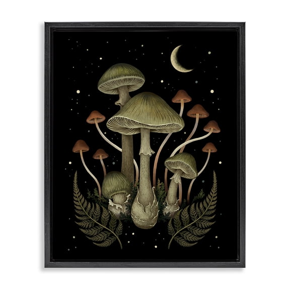 Stupell Industries Eclectic Night Mushrooms & Ferns Black Floating Frame Canvas Art, 17 x 21, by Episodic Drawings