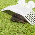 thumbnail image 4 of BRIGHTFUFU Turtle Climbing Platform Arch Bridge Turtle Basking Accessory 1 PCS, 4 of 8