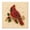 Bird Style#2, variant on Pearl Kit, Christmas Wooden House Pearl Painting Kit with Frame, 3D Pearl Diamond Art Craft for Adults & Beginners, DIY Diamond Art Kits with Frame, Christmas Wall Art Decor Gift, 7.87in