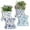 Square-Blue Flwoer, variant on Printed Plastic Flower Pots with Drainage Hole and Tray Saucer, Planter Pots for Indoor Outdoor Garden Plants and Flowers, Modern Decorative Gift Idea 10*8.5cm,Set of 2pcs