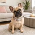 thumbnail image 4 of Pink Dog Chain Necklace with Diamond, Bling Cuban Link Puppy Collars Glitter Rhinestone Cat Jewelry for Small Medium Large Pet Dogs, 8-Inch, 4 of 8