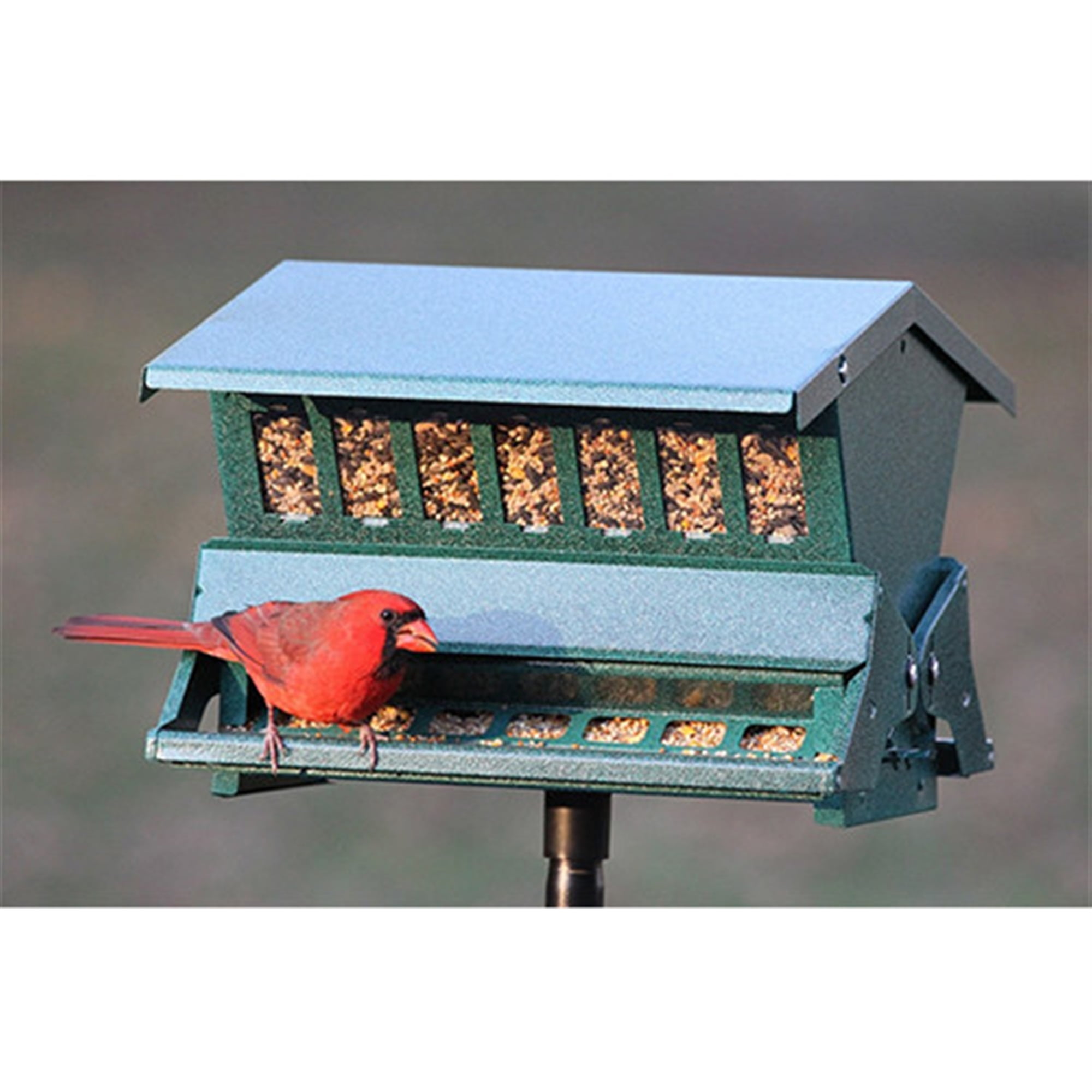 Cherry Valley Feeders Heritage Farms Absolute II Squirrel Proof Bird Feeder